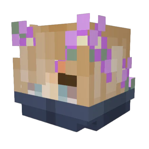 DragonLordMidi26 Minecraft avatar head, 3D render