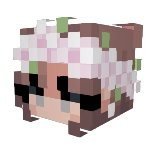 DragonLuv298 Minecraft avatar head, 3D render