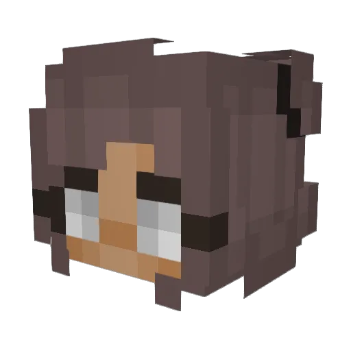 DragonMadi98 Minecraft avatar head, 3D render