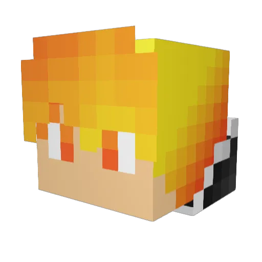 DragonMaster8007 Minecraft avatar head, 3D render