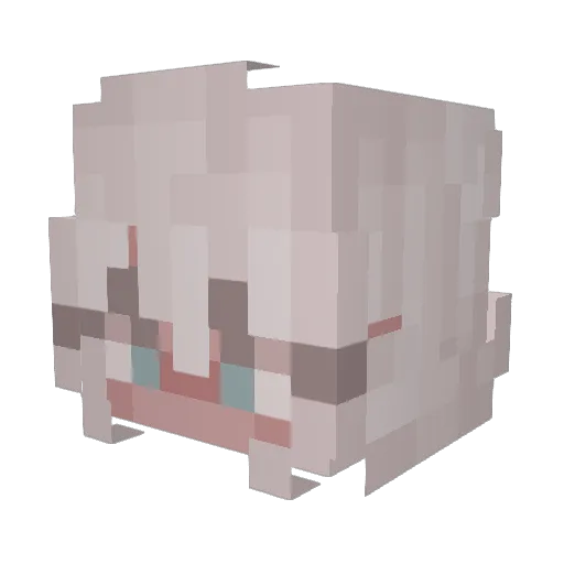 DragonMasterkiki Minecraft avatar head, 3D render