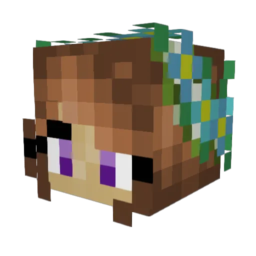 DragonMastrAsh Minecraft avatar head, 3D render