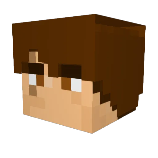 DragonNinja143 Minecraft avatar head, 3D render