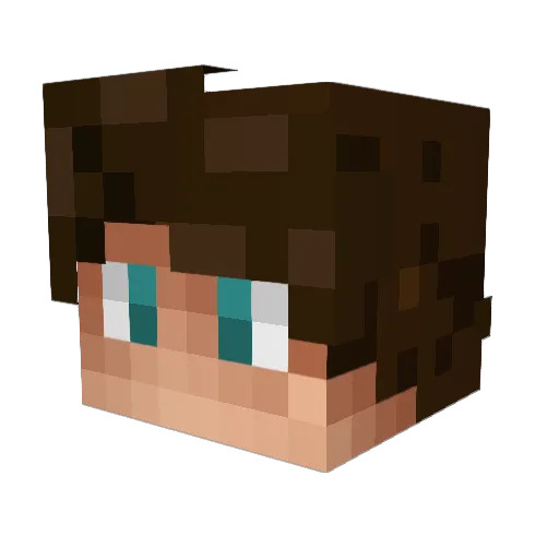 DragonNinja417 Minecraft avatar head, 3D render