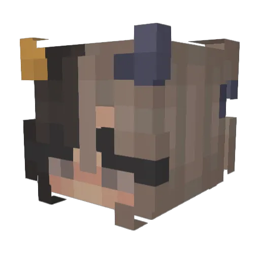 DragonPopX Minecraft avatar head, 3D render