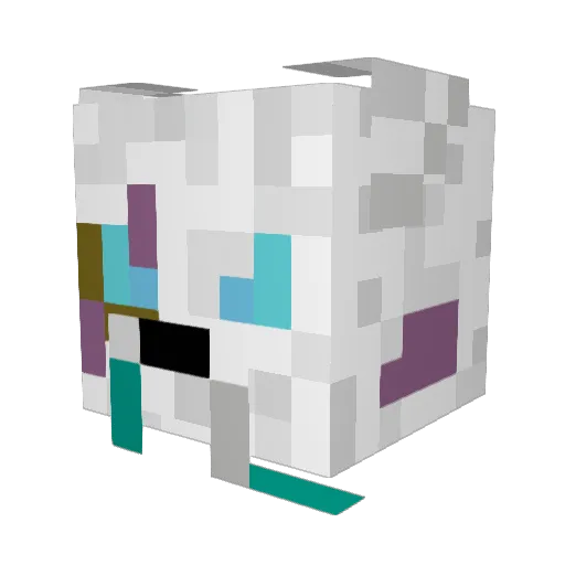 DragonRider58 Minecraft avatar head, 3D render