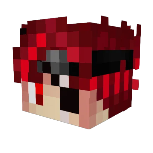 DragonRyderCam Minecraft avatar head, 3D render