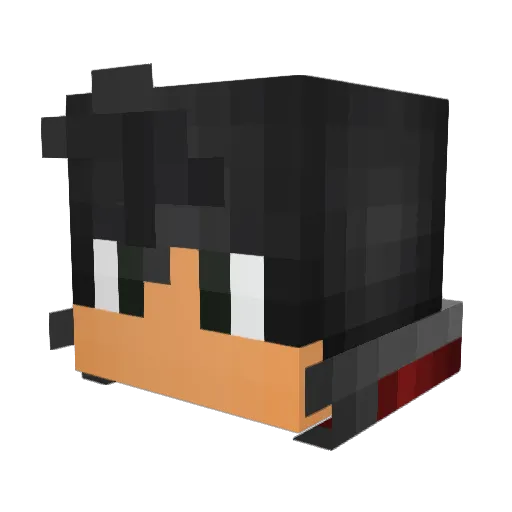 DragonSlayer2245 Minecraft avatar head, 3D render