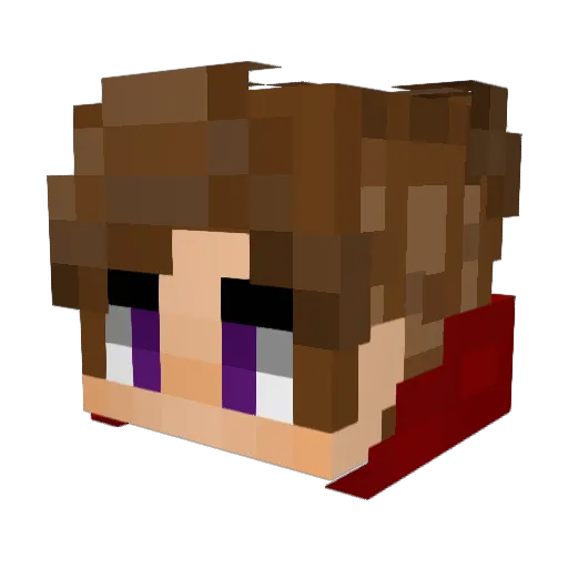 DragonSlayer2442 Minecraft avatar head, 3D render