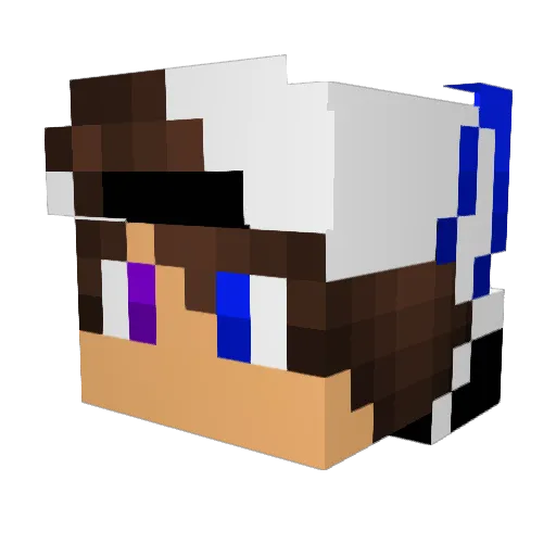DragonSlayer3697 Minecraft avatar head, 3D render