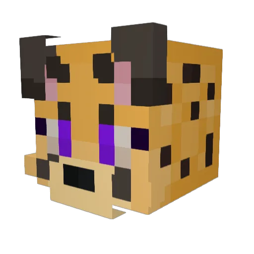 DragonSlayerz2 Minecraft avatar head, 3D render