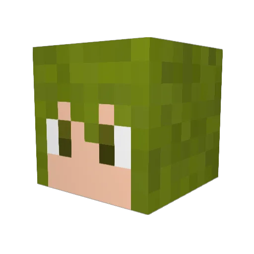 DragonStar2015 Minecraft avatar head, 3D render