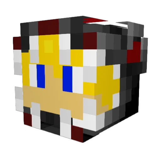 DragonTamer1113 Minecraft avatar head, 3D render