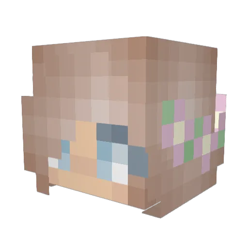 DragonTamer1710 Minecraft avatar head, 3D render