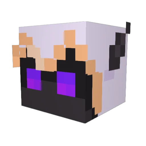 DragonTheBean Minecraft avatar head, 3D render