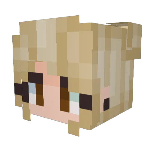 DragonTinker Minecraft avatar head, 3D render