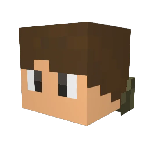 DragonTurtleMC Minecraft avatar head, 3D render