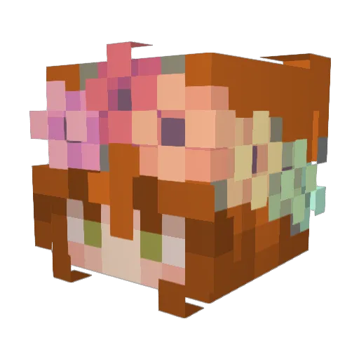 DragonWings7892 Minecraft avatar head, 3D render