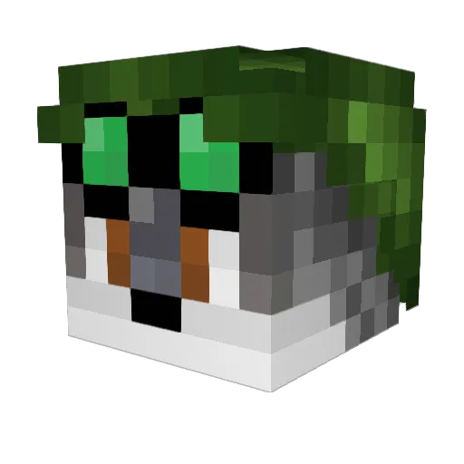 DragonWizard9000 Minecraft avatar head, 3D render