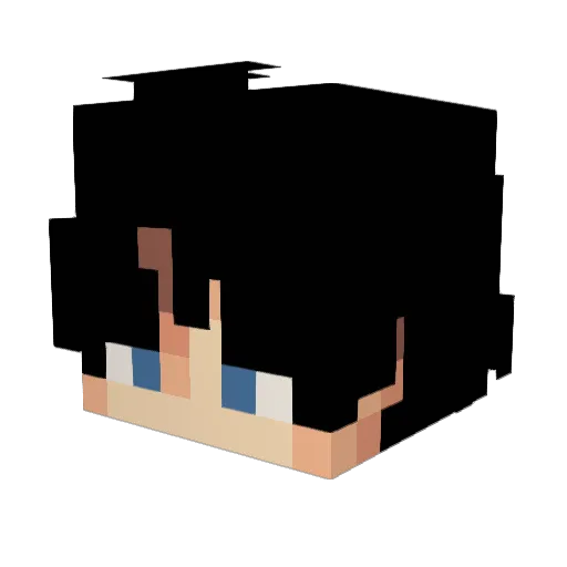 DragonWorld22 Minecraft avatar head, 3D render