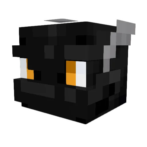 Dragon_Carrot Minecraft avatar head, 3D render