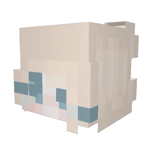 Dragon_Cheetah Minecraft avatar head, 3D render