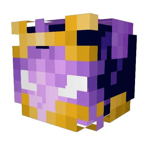 Dragon_Fails12 Minecraft avatar head, 3D render