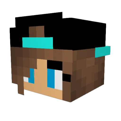 Dragon_Slayer454 Minecraft avatar head, 3D render