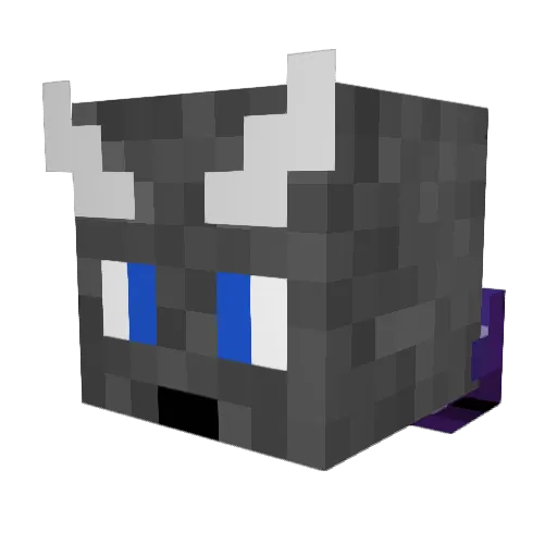 Dragon_Slayer809 Minecraft avatar head, 3D render
