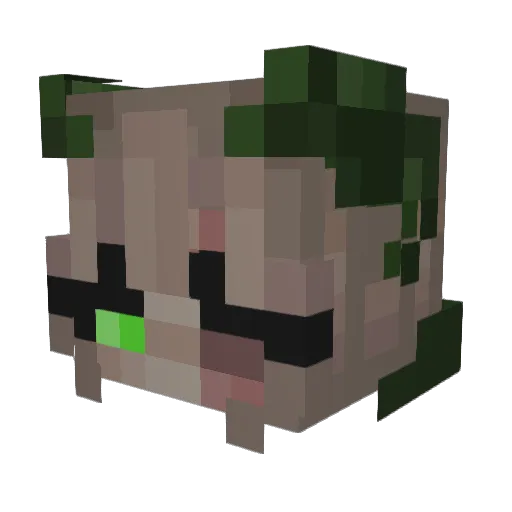 Dragon_YT_ Minecraft avatar head, 3D render