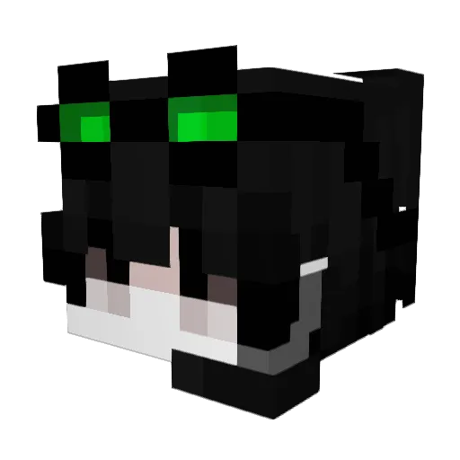Dragonacak12345 Minecraft avatar head, 3D render