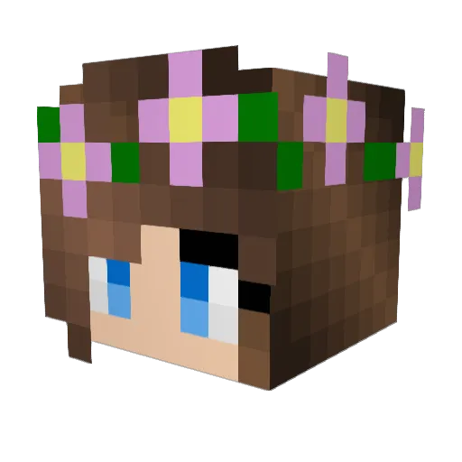 Dragonair22113 Minecraft avatar head, 3D render