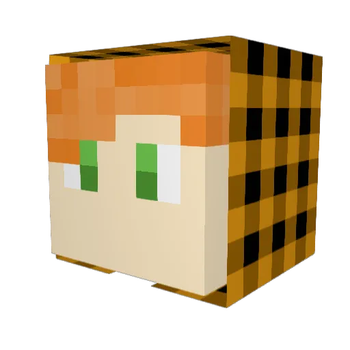 Dragonblitz502 Minecraft avatar head, 3D render