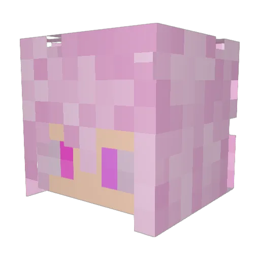 Dragonboixox Minecraft avatar head, 3D render