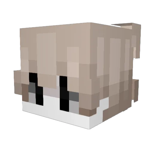 Dragonbornw Minecraft avatar head, 3D render