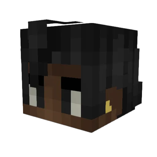 Dragonboy1101 Minecraft avatar head, 3D render