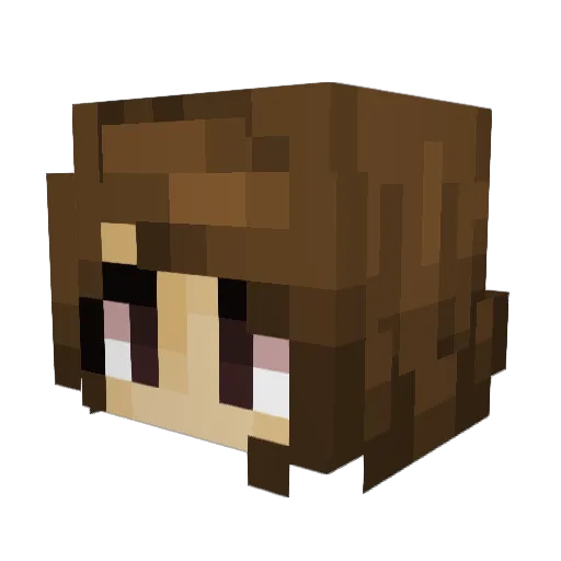 Dragoneirre Minecraft avatar head, 3D render