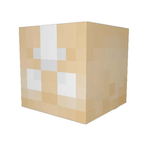 Dragoner0905 Minecraft avatar head, 3D render