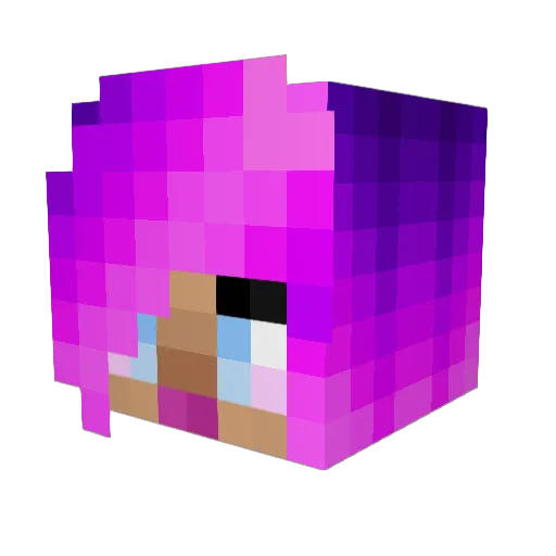 Dragoness1994 Minecraft avatar head, 3D render