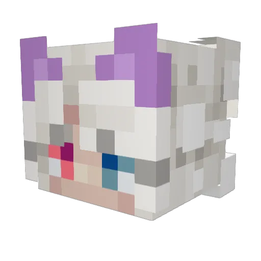 Dragonex007 Minecraft avatar head, 3D render