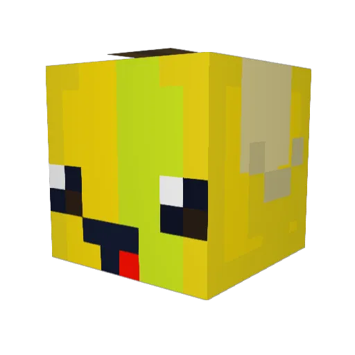Dragonfire9442 Minecraft avatar head, 3D render