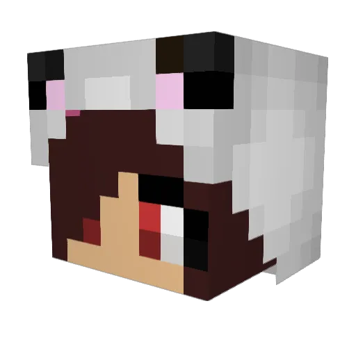 Dragonflies111 Minecraft avatar head, 3D render