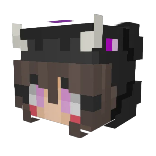 Dragonfly555 Minecraft avatar head, 3D render
