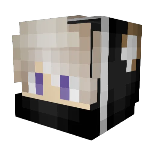Dragonfly9898 Minecraft avatar head, 3D render