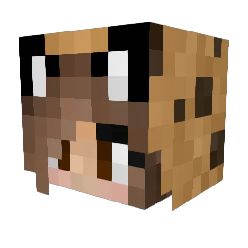 Dragongamer2010 Minecraft avatar head, 3D render