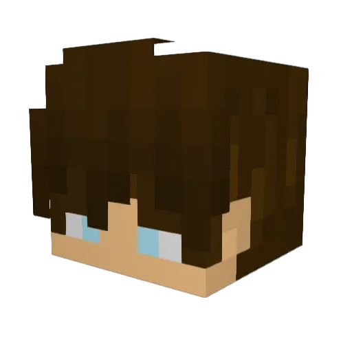 Dragongamer4269 Minecraft avatar head, 3D render
