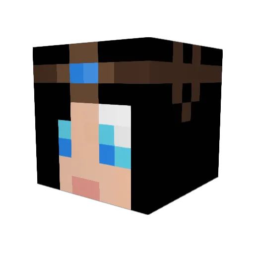 Dragongem27 Minecraft avatar head, 3D render