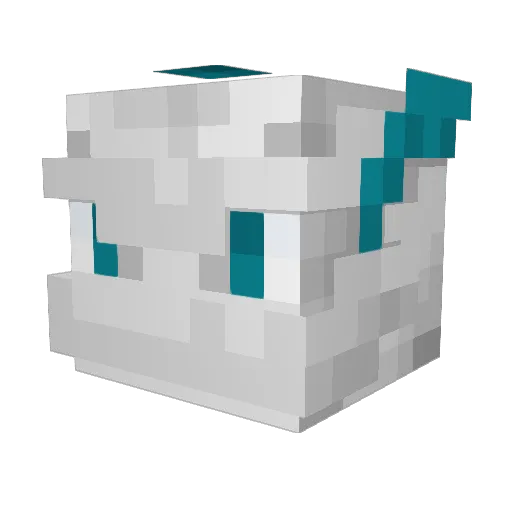 Dragongirl6934 Minecraft avatar head, 3D render