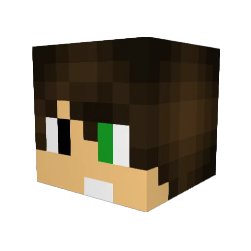 Dragonheart00 Minecraft avatar head, 3D render