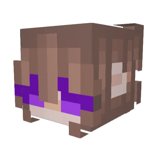DragoniP Minecraft avatar head, 3D render